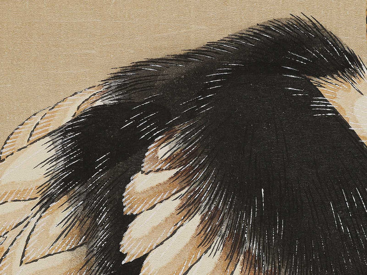 Konotori by Katsushika Hokusai, (Medium print size) / BJ324-975