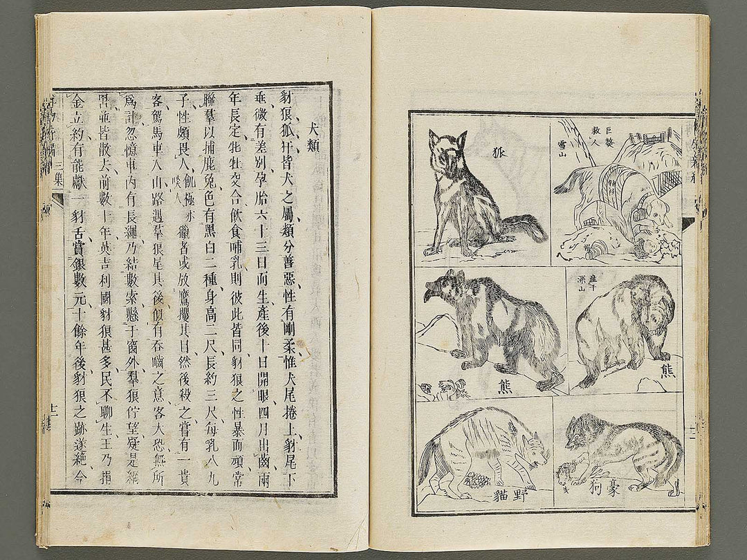 Hakubutsu Shinpen Volume 3 / BJ336-476