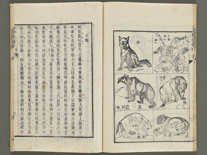 Hakubutsu Shinpen Volume 3 / BJ336-476