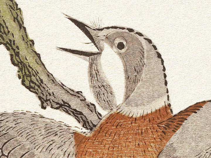 Mountain sparrow and Japanese bush warbler from the series Momochidori kyokaawase by Kitagawa Utamaro, (Large print size) / BJ328-062