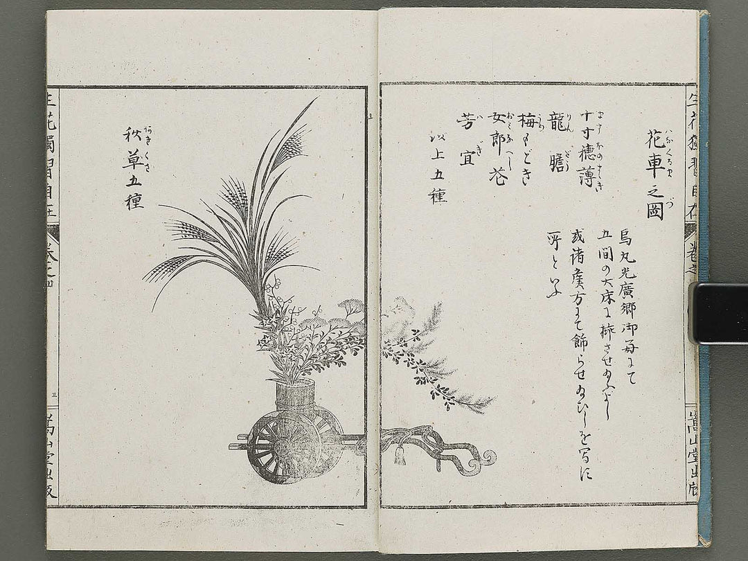 Shoryu hiden ikebana dokushu jizai Volume 4 / BJ332-759