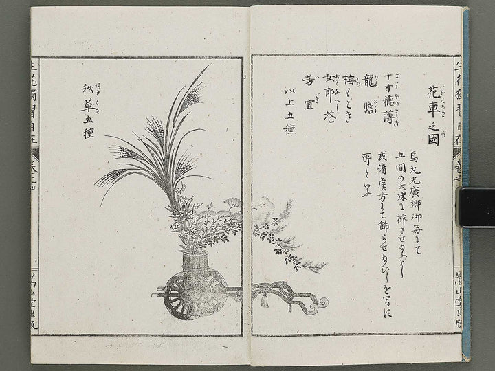 Shoryu hiden ikebana dokushu jizai Volume 4 / BJ332-759