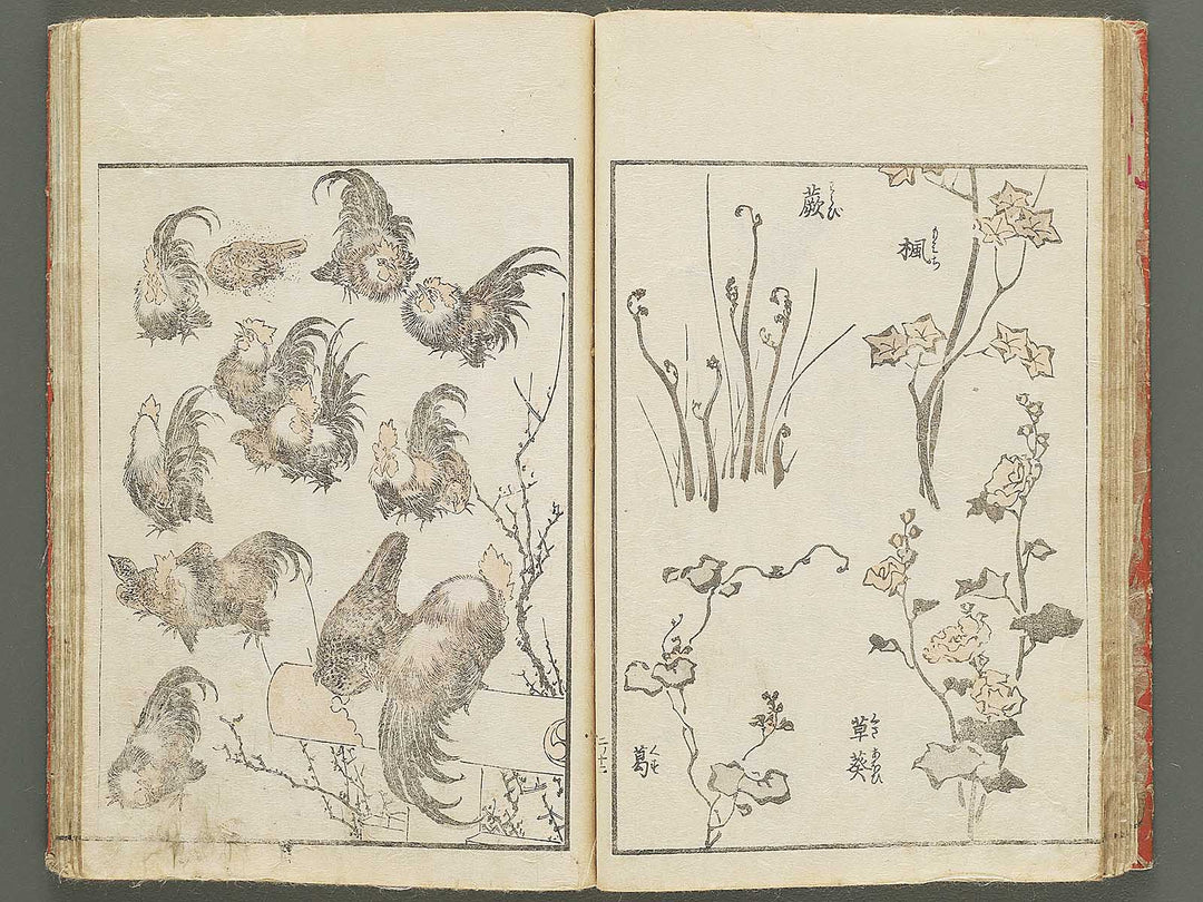 Keisai ukiyo gafu Volume 2 by Keisai Eisen / BJ350-630