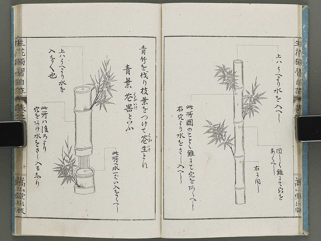 Shoryu hiden ikebana dokushu jizai Volume 2 / BJ332-745