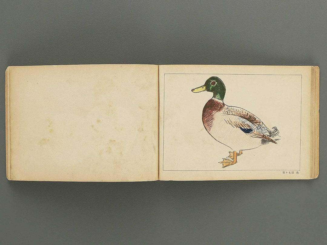 Jinjo shogaku zuga Dai 2gakunen jido yo by Monbusho / BJ349-335