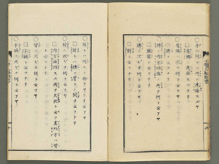 Shogaku jintai mondo / BJ352-884