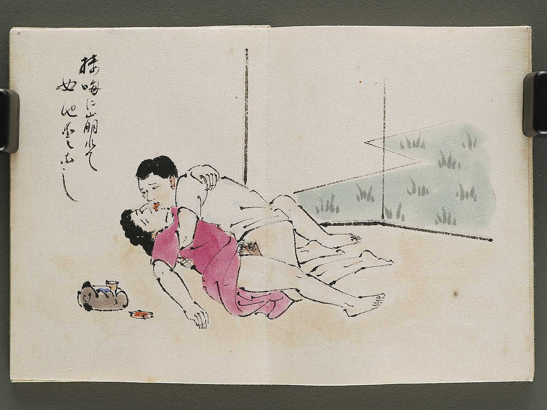 Gendai senryu kaigashu / BJ325-731