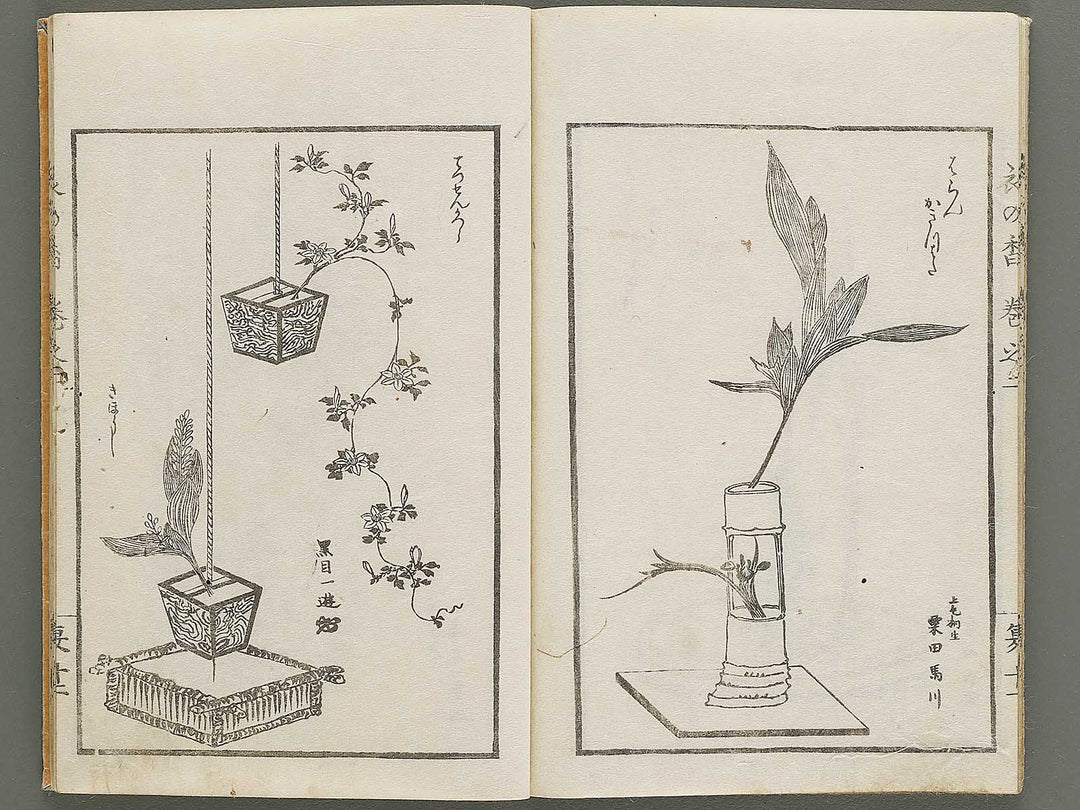 Soka koromonoka Volume 2 by Hishikawa Sori / BJ335-174