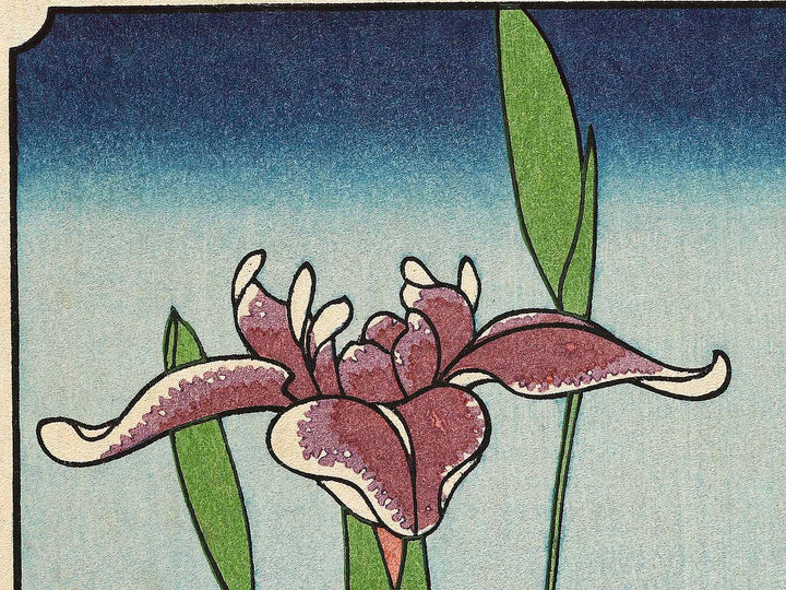 Horikiri Iris Garden from the series One Hundred Famous Views of Edo by Utagawa Hiroshige, (Large print size) / BJ328-370