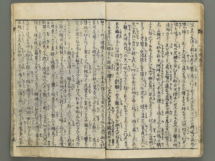 Nanso satomi hakkenden Volume 1 by Yanagawa Shigenobu / BJ347-151