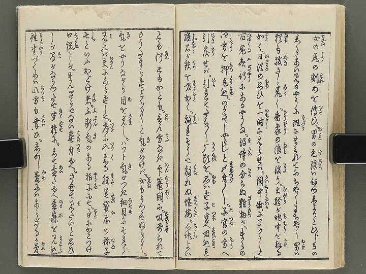 Hana no nemuri shiki monogatari by Insuitei Shozan / BJ355-096