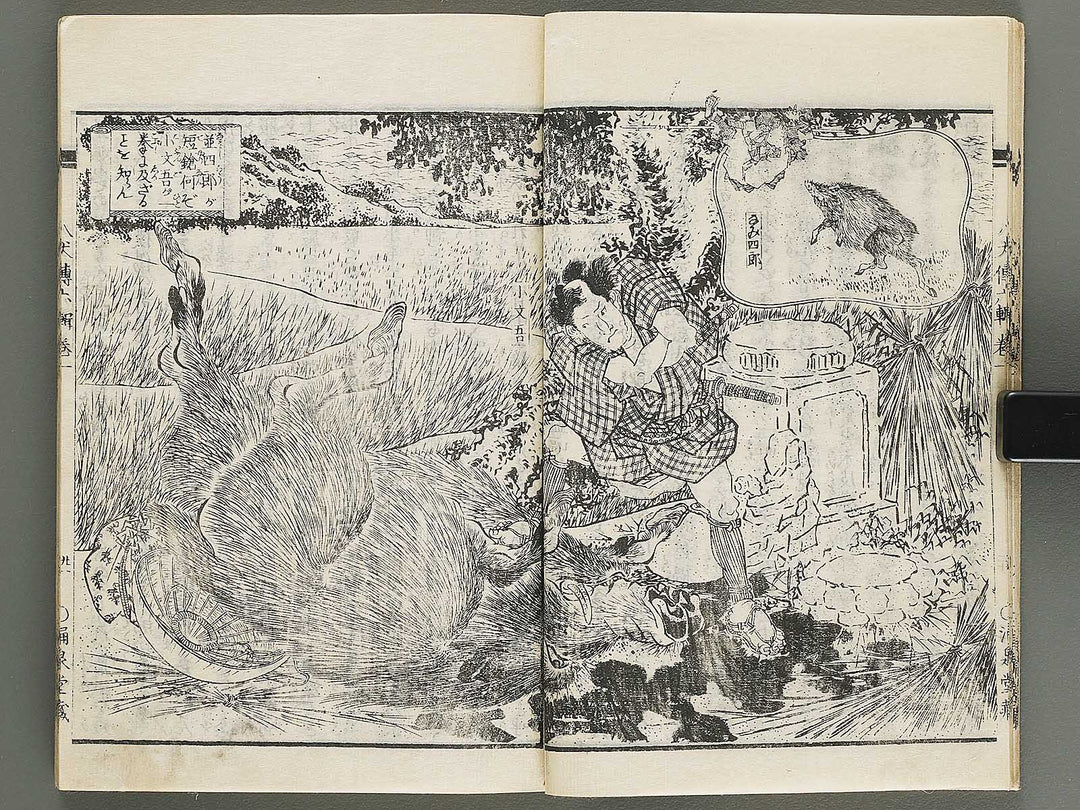 Nanso satomi hakkenden Volume 6 by Keisai Eisen, Yanagawa Shigenobu / BJ316-253