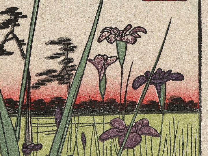 Horikiri Iris Garden from the series One Hundred Famous Views of Edo by Utagawa Hiroshige, (Large print size) / BJ318-458