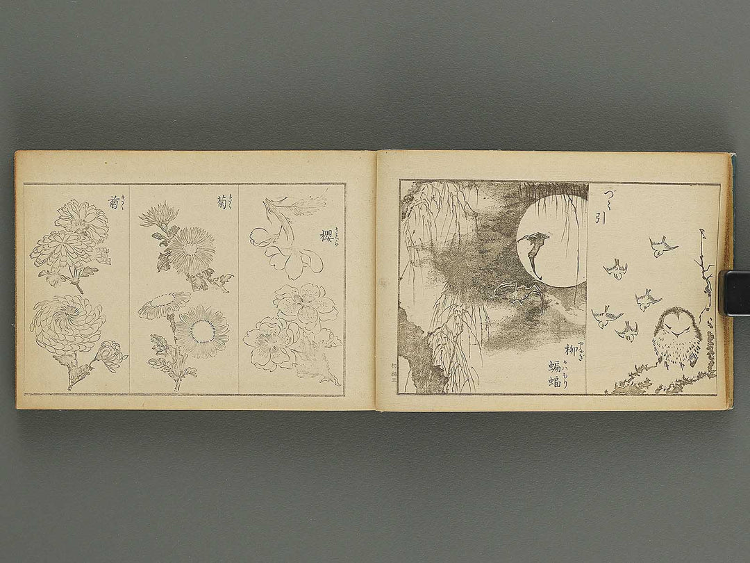 hyakko bijyutsu gafu Part 1 by Ogamino Sonso / BJ339-920