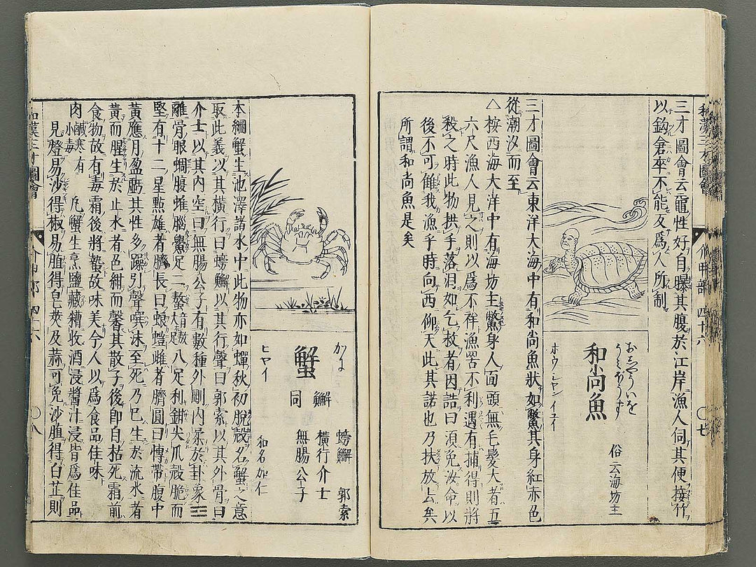 Wakan sansai zue Part 45, Book 46 / BJ349-230
