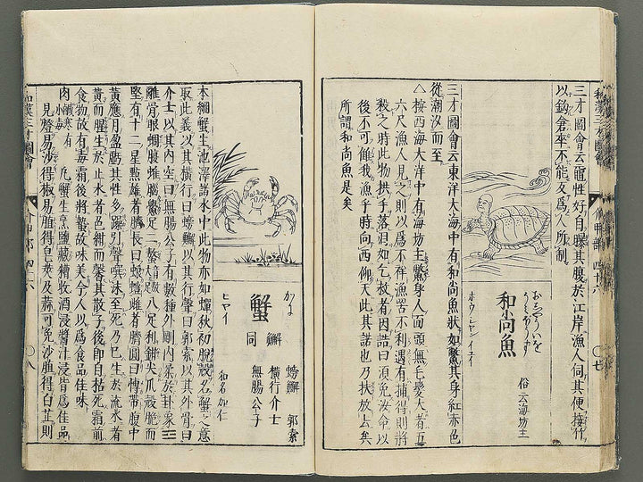 Wakan sansai zue Part 45, Book 46 / BJ349-230