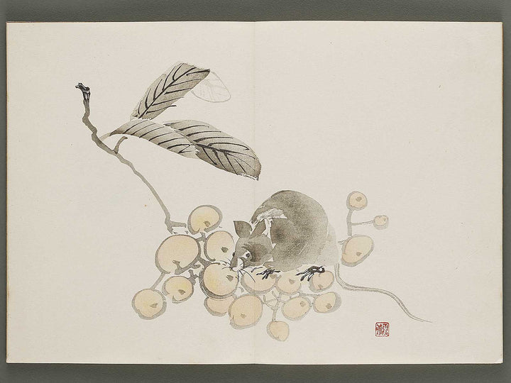 Kajo shugacho Volume 2 by Matsuda Kajo / BJ333-494