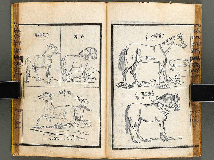 Hakubutsu shinpen yakkai Volume 4 / BJ326-879