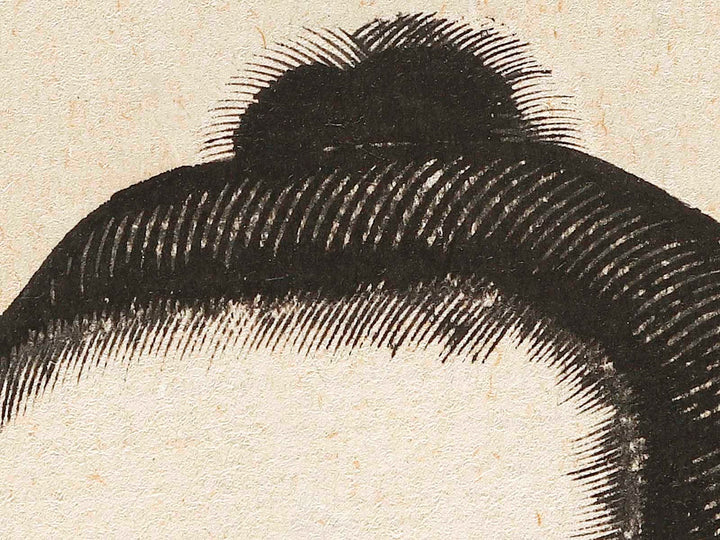 Iyo Asashio Taro by Gyokuha / BJ339-157