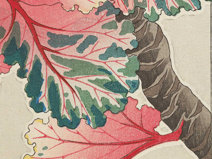 Habotan by Kawarazaki Shodo, (Large print size) / BJ346-269