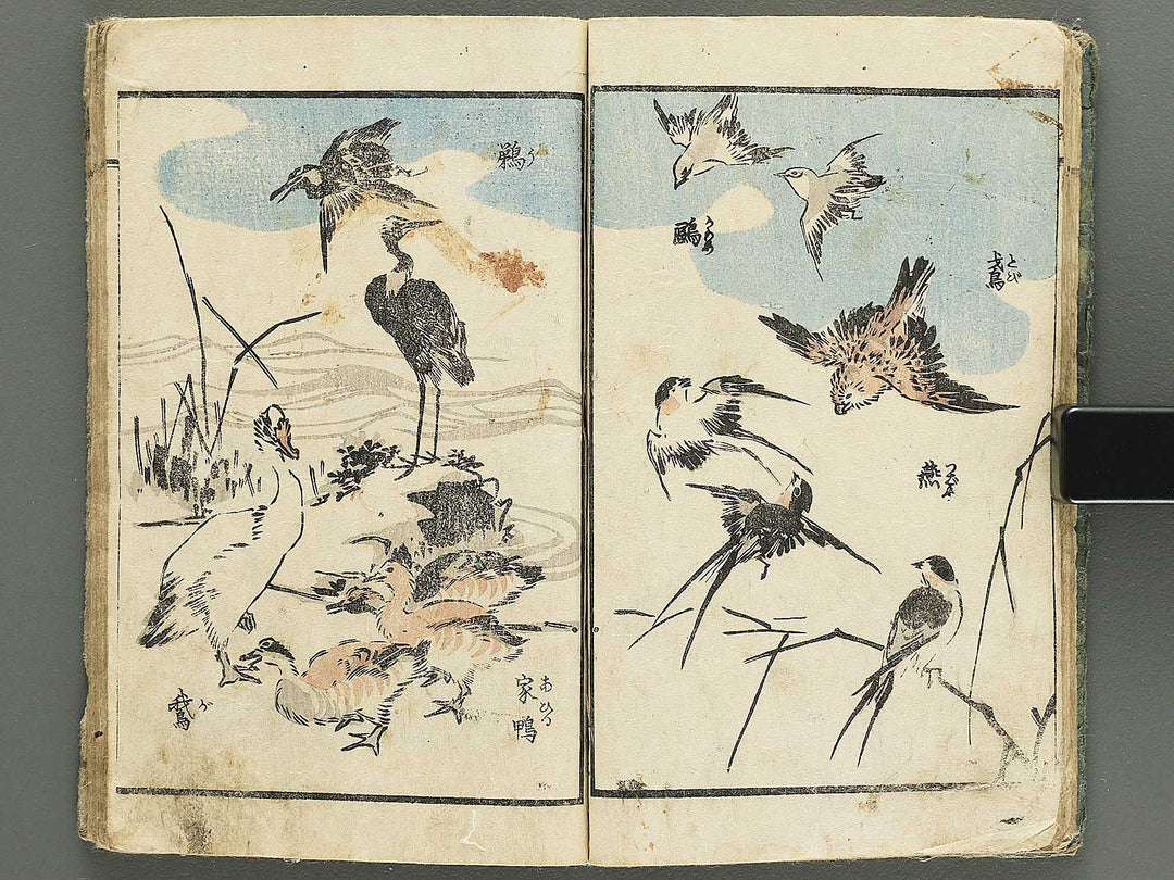 Yanagawa gafu (Kacho bu) by Yanagawa Shigenobu / BJ348-964