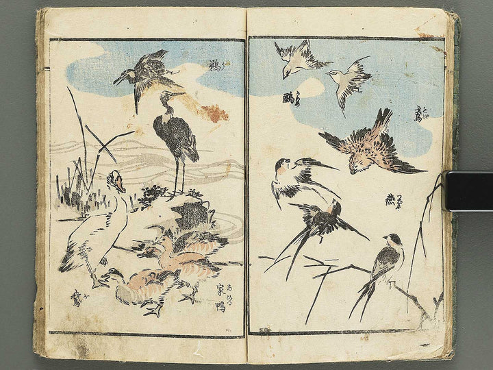 Yanagawa gafu (Kacho bu) by Yanagawa Shigenobu / BJ348-964