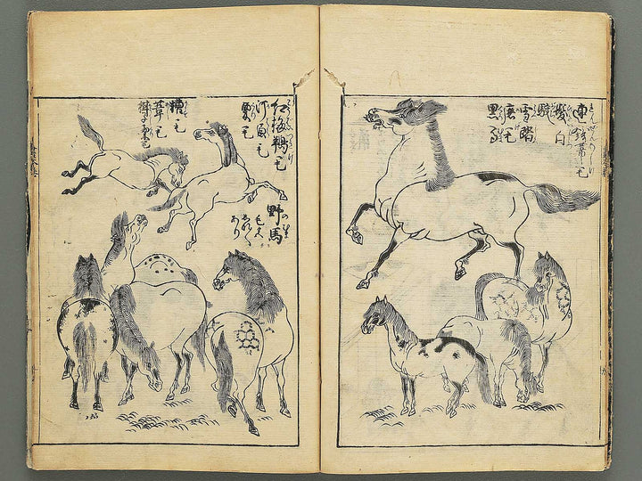 Ehon shoshin hashiradate (Ge) by Tachibana Morikuni / BJ348-649