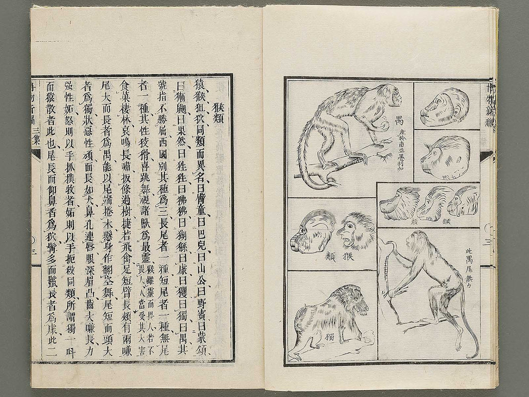 Hakubutsu Shinpen Volume 3 / BJ335-412