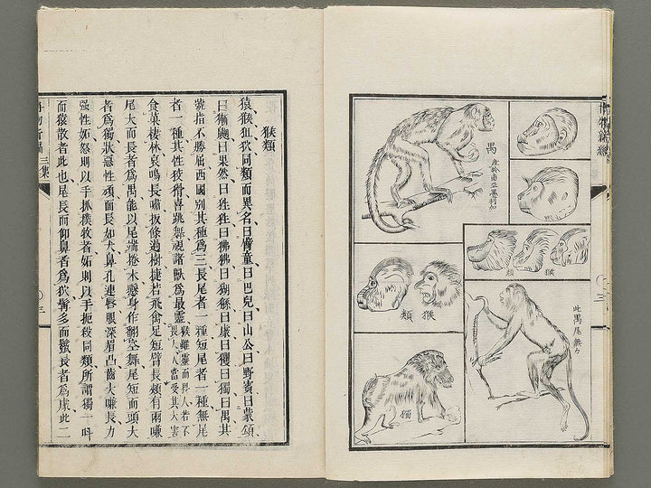 Hakubutsu Shinpen Volume 3 / BJ335-412