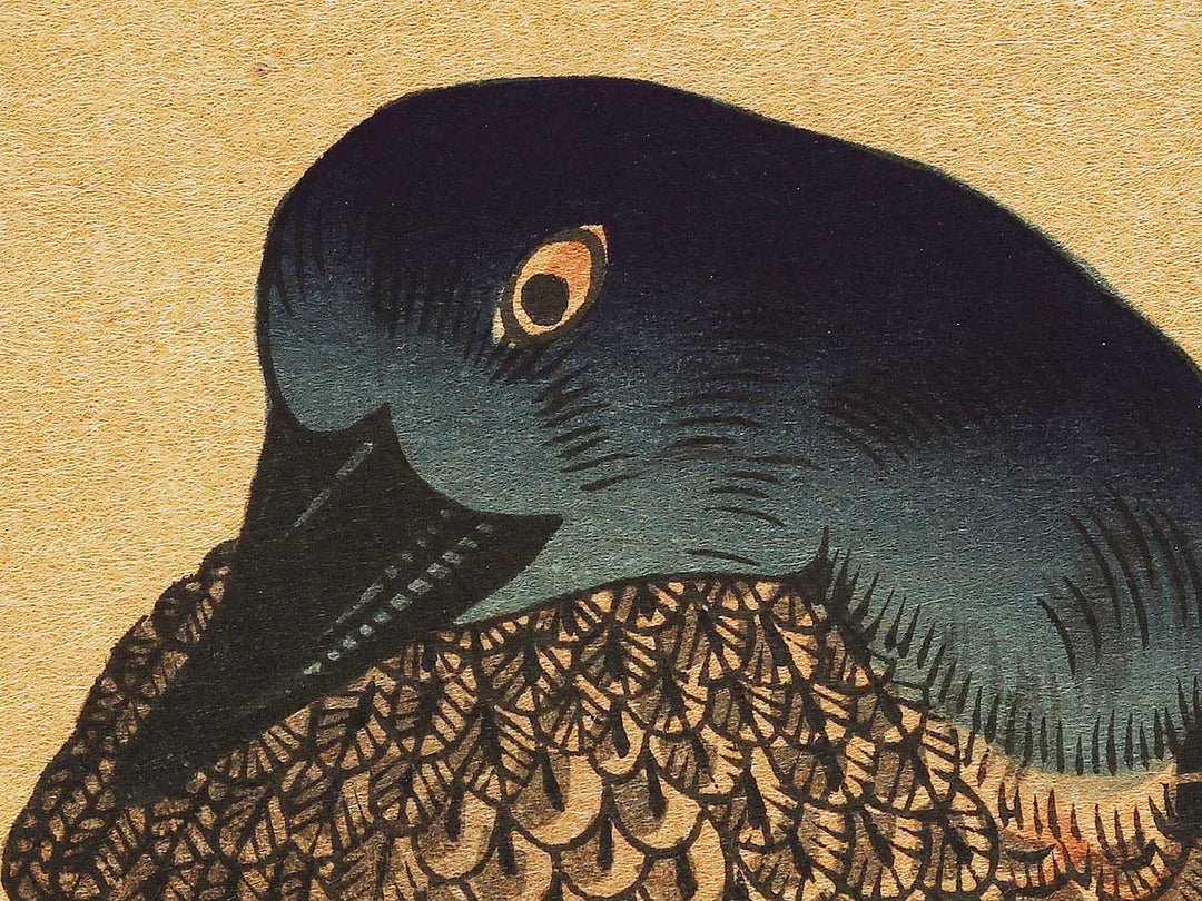 Duck and Kingfisher from the series Momotidori kyoka awase by Kitagawa Utamaro, (Large print size) / BJ328-349