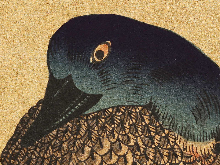 Duck and Kingfisher from the series Momotidori kyoka awase by Kitagawa Utamaro, (Large print size) / BJ328-349