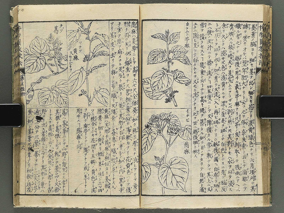 Hakubutsu kyojyuho Volume 4-5 by           / BJ344-729