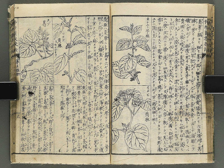 Hakubutsu kyojyuho Volume 4-5 by           / BJ344-729