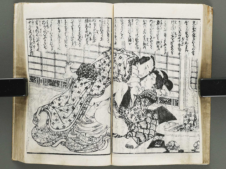Chigusa no hana futatsu chocho by Utagawa-school / BJ316-183