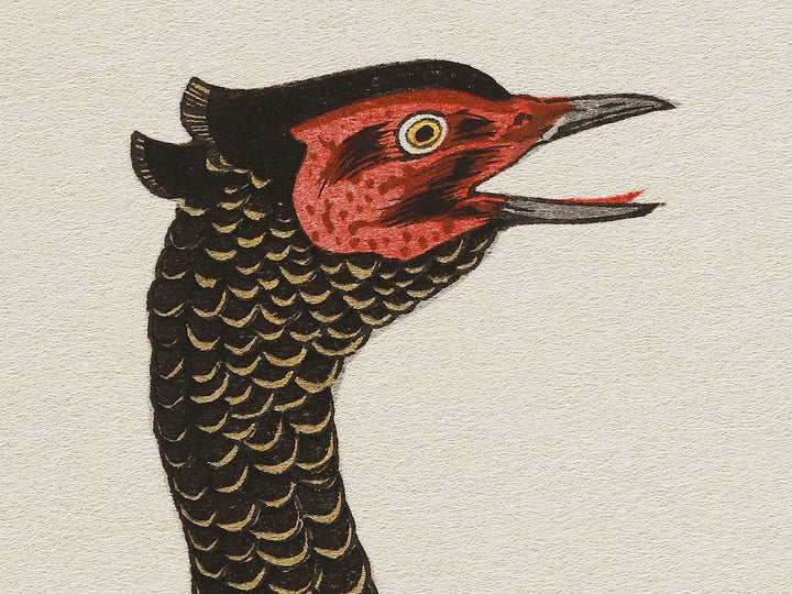 Swallow and Pheasant from the series Momochidori kyoka awase by Kitagawa Utamaro, (Large print size) / BJ327-964