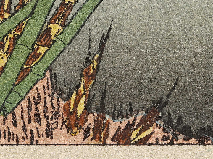 Chikurin no fuji from the series One Hundred Views of Mount Fuji by Katsushika Hokusai, (Medium print size) / BJ321-783