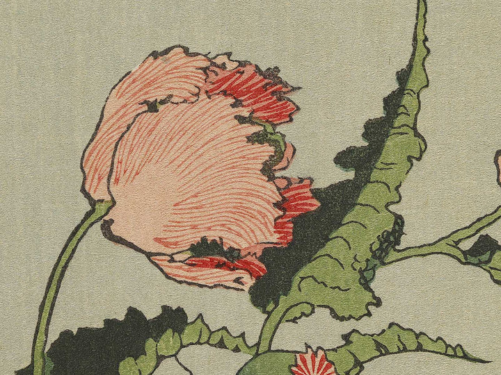 A poppy by Katsushika Hokusai, (Medium print size) / BJ321-734