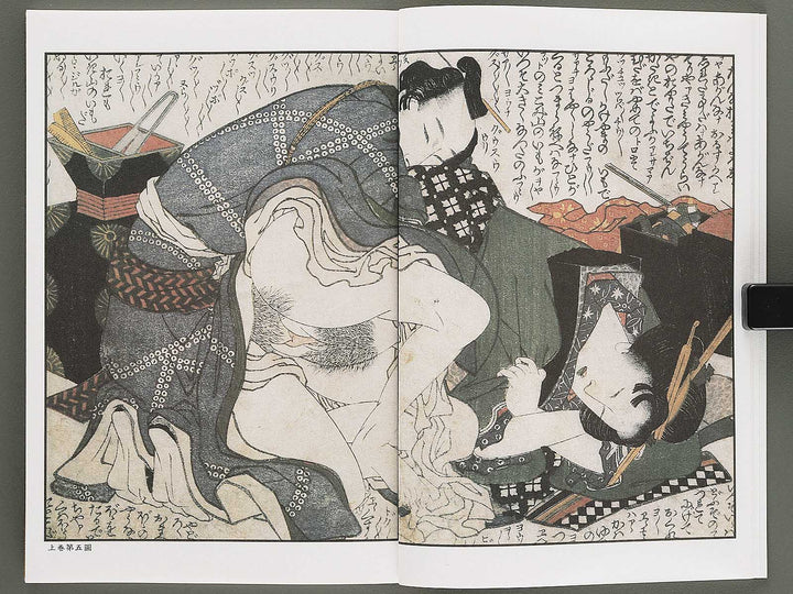 Ezoshi Tamakazura Volume 12 by Katsushika Hokusai / BJ346-486