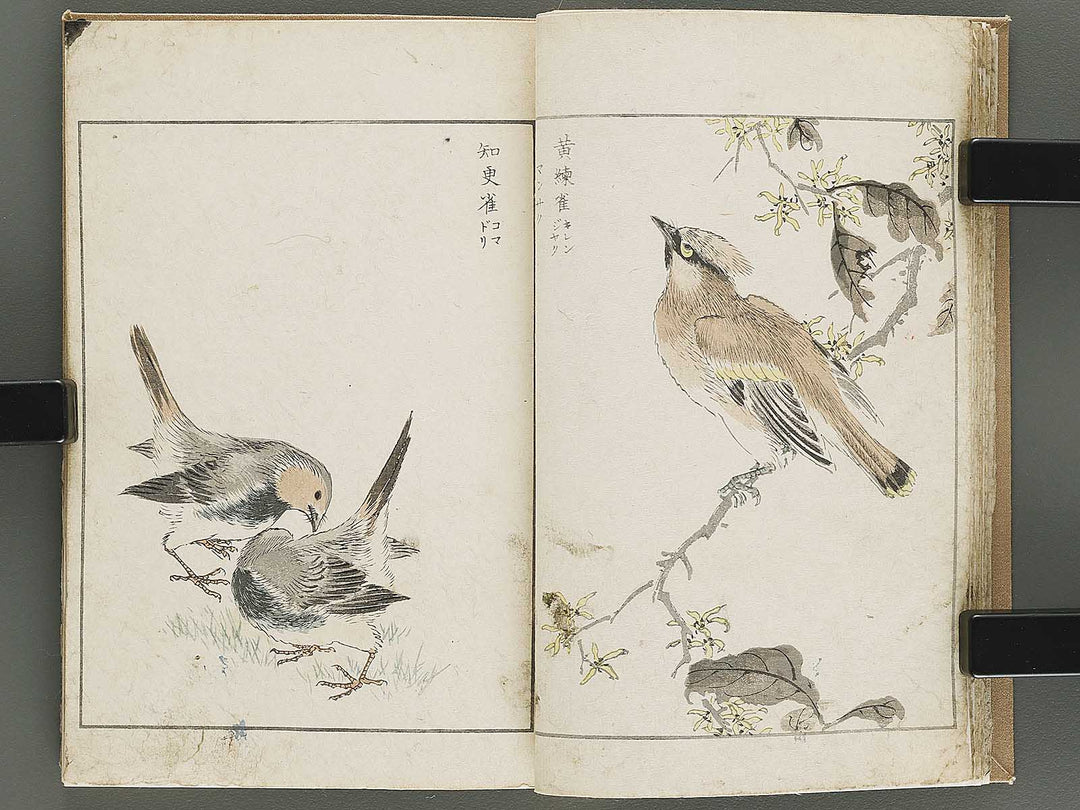 Shucho gafu (Jin) (Part 3 of 3) by Numata Kashu / BJ339-752