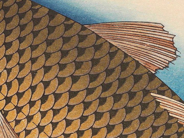 Japanese Carp from the series the series fish by Utagawa Hiroshige, (Large print size) / BJ322-819