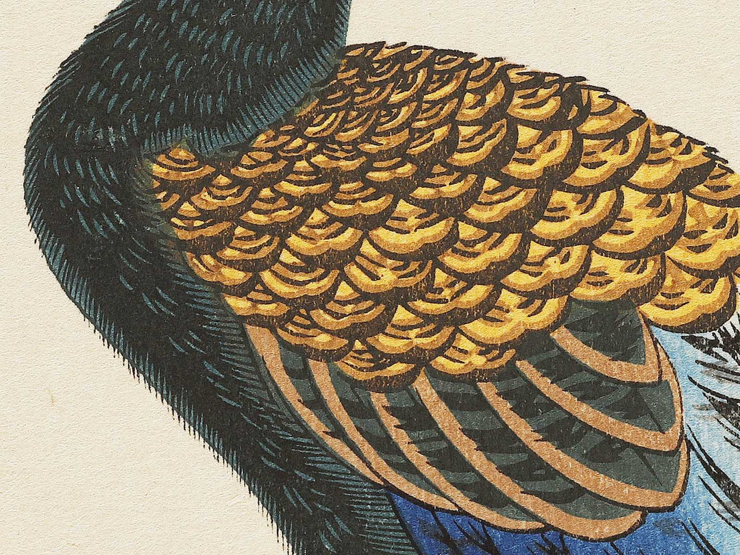 Chrysanthemum & pheasant by Utagawa Hiroshige, (Medium print size) / BJ328-111