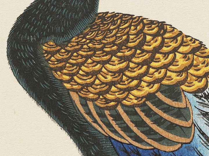 Chrysanthemum & pheasant by Utagawa Hiroshige, (Medium print size) / BJ328-111