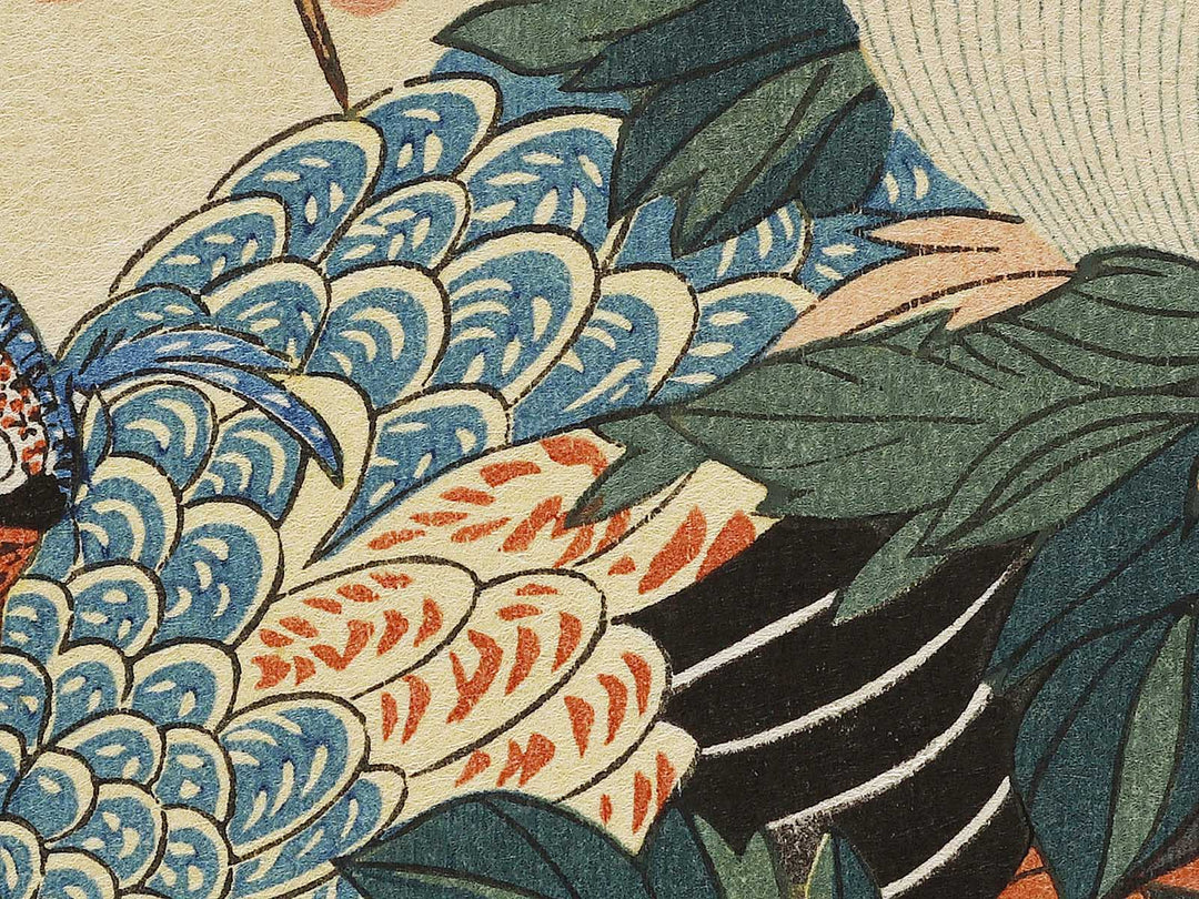Paeony & Peacock by Utagawa Hiroshige, (Medium print size) / BJ328-181