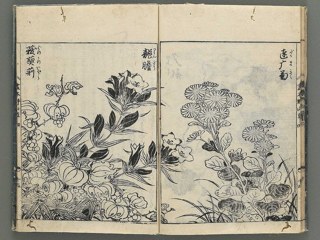 Gahon noyama gusa Volume 4 / BJ346-332