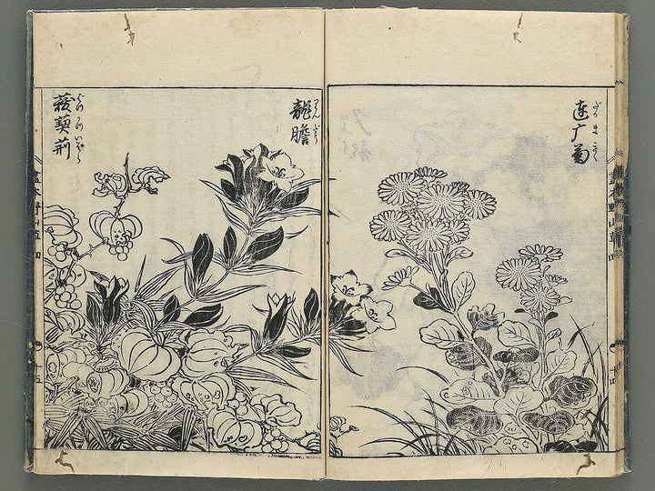 Gahon noyama gusa Volume 4 / BJ346-332