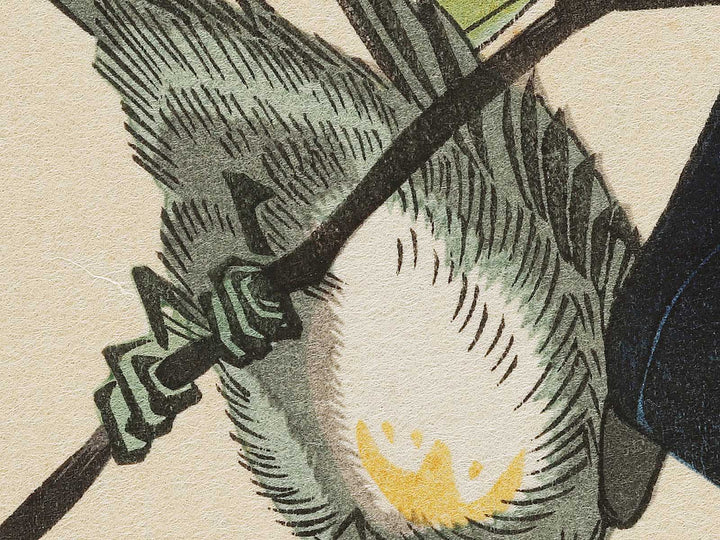 Bullfinch in Tsubaki by Utagawa Hiroshige, (Medium print size) / BJ328-083