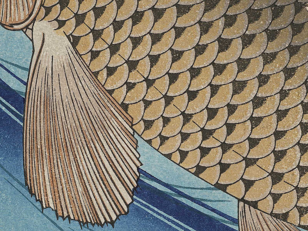 Japanese Carp from the series the series fish by Utagawa Hiroshige, (Large print size) / BJ325-619