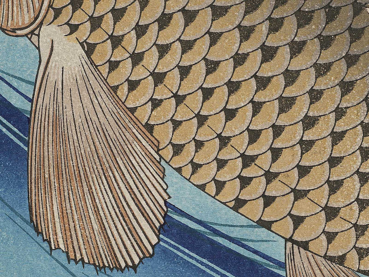 Japanese Carp from the series the series fish by Utagawa Hiroshige, (Large print size) / BJ325-619