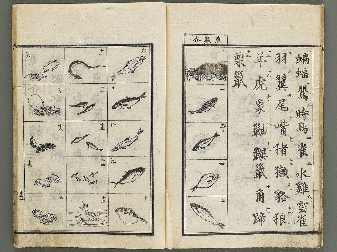 Tzngohen zushiki (Ge) / BJ323-001