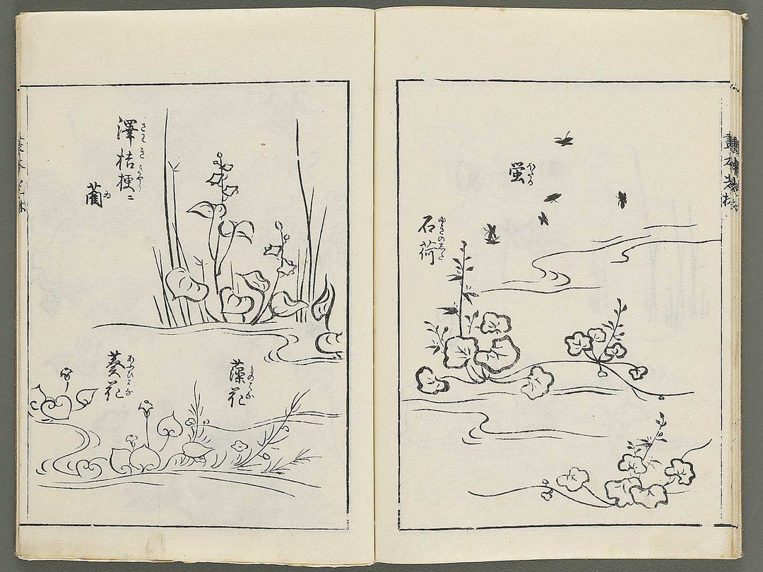 Korin michishirube by Nonomura Chube / BJ351-127